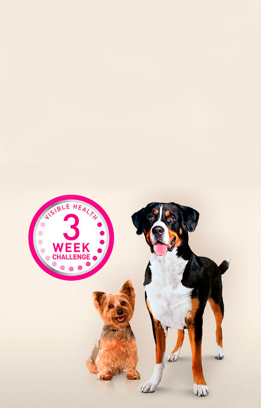 Purina One 3 week challenge