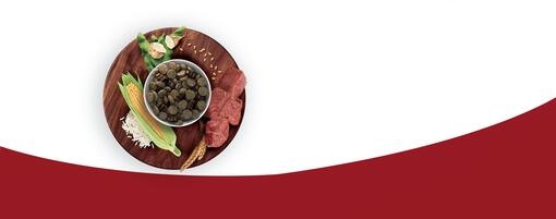Purina One Mini