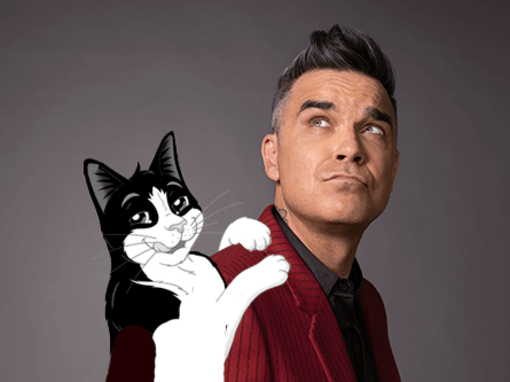 &quot;Non condivido l'espressione &quot;gatto fifone&quot; poiché noto che i miei gatti non hanno davvero paura di niente. Sotto il loro asp