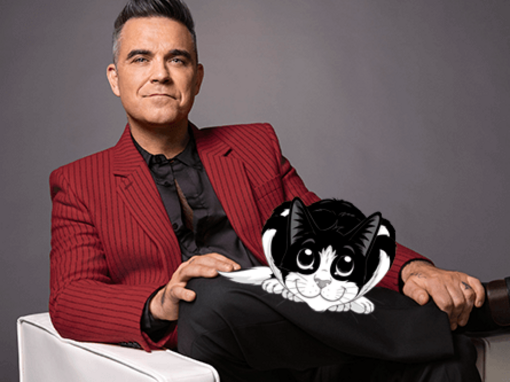 &quot;It's great to be a cat: dormi tutto il giorno,  rimani sveglio di notte e tutti vogliono stare accanto a te!&quot;