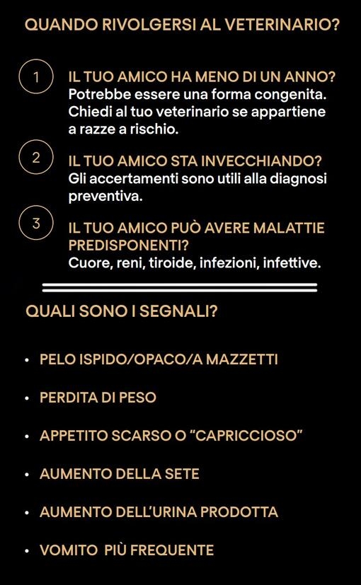 QUANDO RIVOLGERSI AL VETERINARIO? QUALI SONO I SEGNALI?