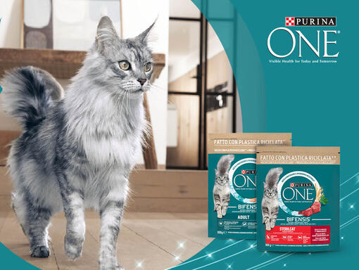 Purina one