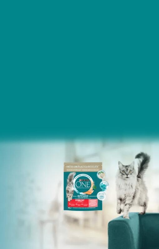 Purina one bifensis microbioma