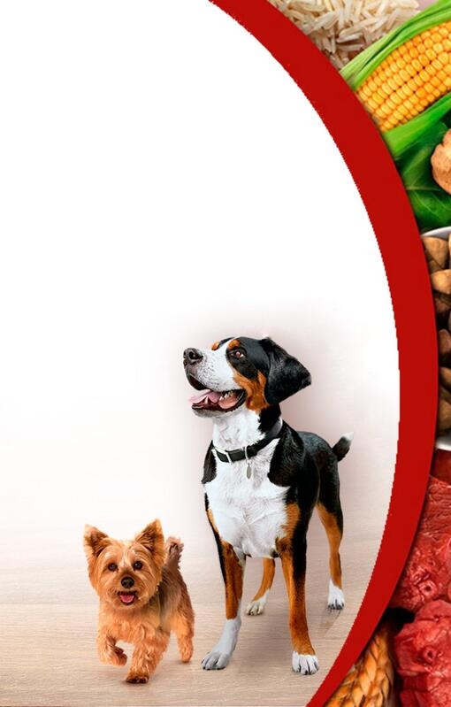 Scopri Purina ONE®