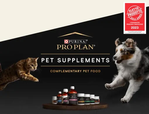 supplements