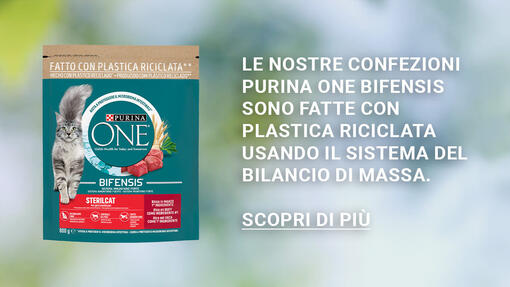 Purina_Banner ONE Bifensis_1280x720