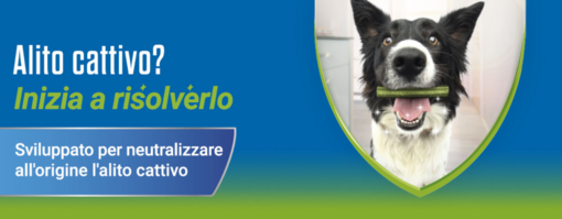 Purina presenta la linea Dentalife Activfresh®, gli snack in grado di combattere all’origine i batteri dell’alito catti