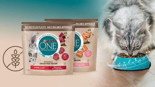 Purina One Bifensis