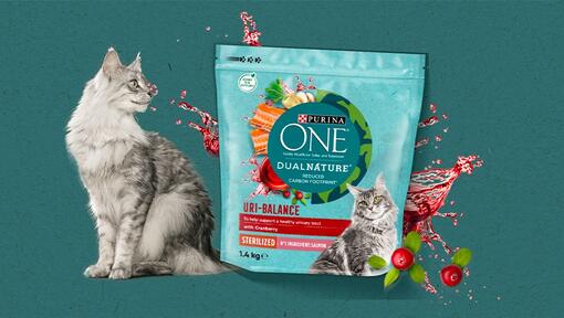 Purina One DualNature URI-BALANCE