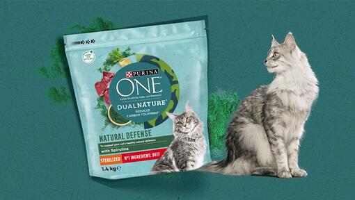 Purina One DualNature NATURAL DEFENCE