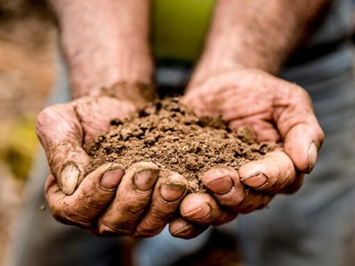 I benefici dell'agricoltura rigenerativa - Il nostro progetto LENs