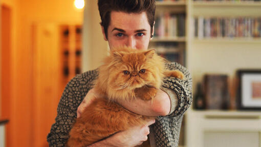 Persian Cat with owner