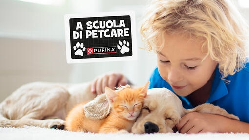 PetCare