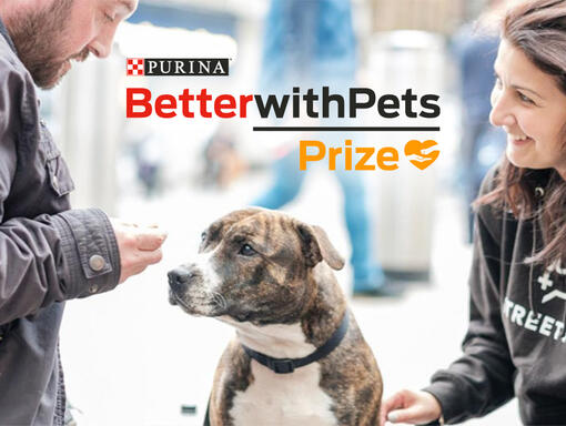 Il Premio Purina BetterWithPets