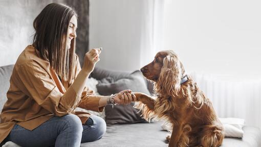 Woman training a dog