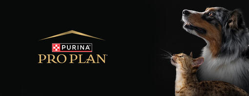 Purina® torna a Zoomark, la più importante fiera europea del settore petcare, con uno spazio dedicato alla linea Purina® Pro