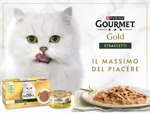 Gourmet straccetti