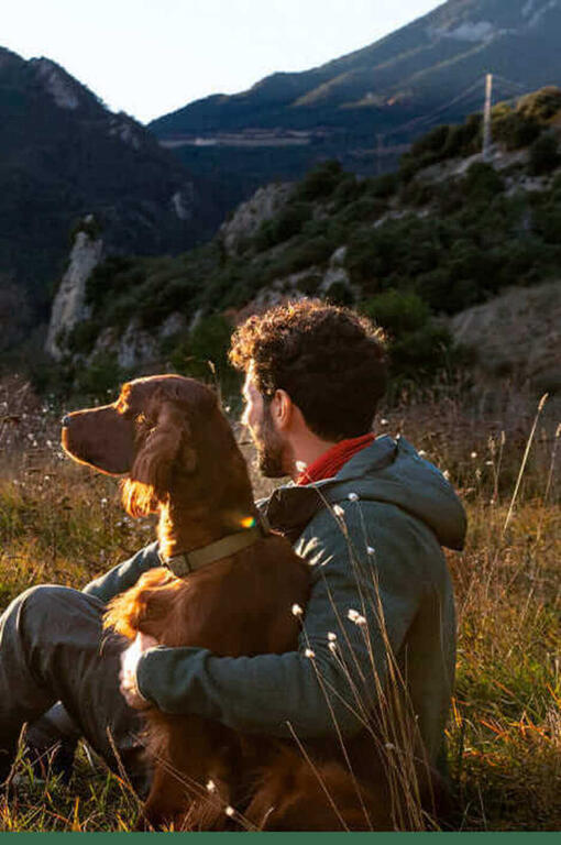 Adventuros