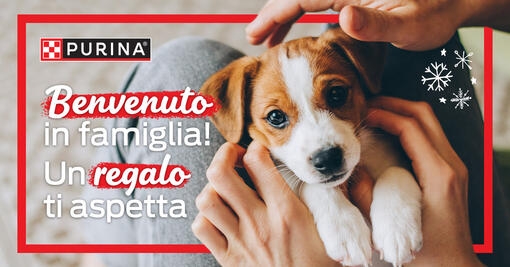 Scopri la nostra guida