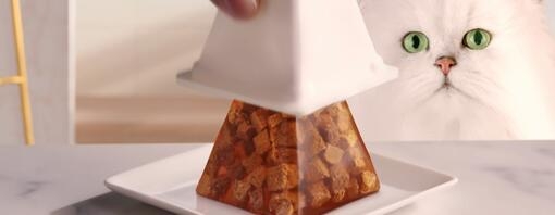 Purina Gourmet Revelations Gelee