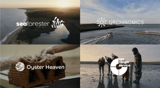 Purina Ocean Restoration Partners