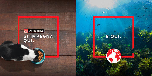 Il programma Europeo di Purina per la rigenerazione degli oceani