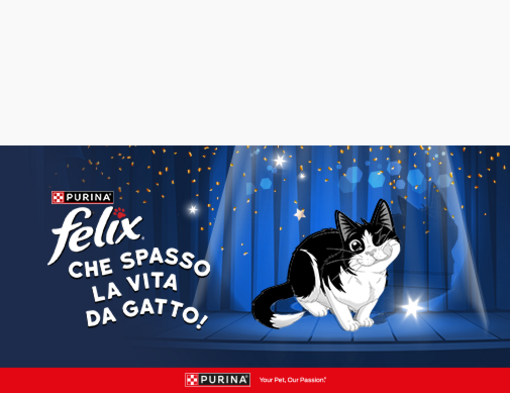 Che spasso la vita da gatto 