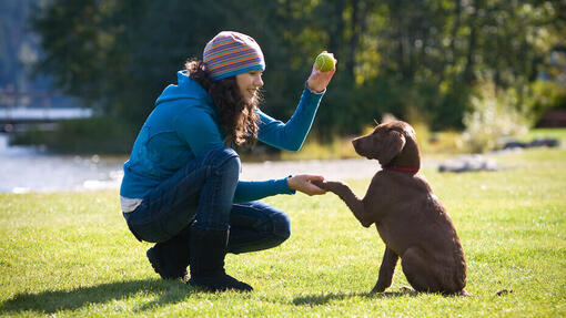 Donna che addestra un cane a dare la zampa