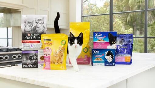 Neri e gatto bianco con confezioni di cibo per gatti Purina