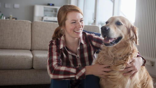 Le razze di cani più affettuose
