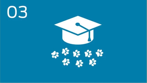 Promuovere programmi di possesso responsabile dei pet