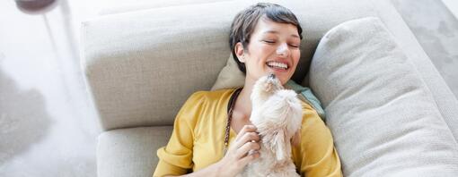 Le razze di cani più affettuose
