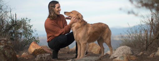 Golden retriever con il proprietario su un sentiero di montagna.