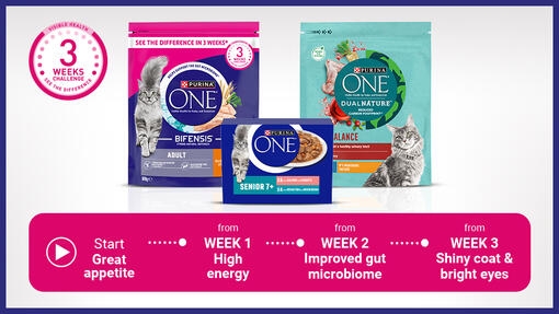 purina one three week challenge