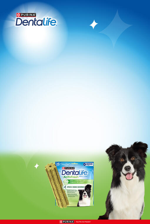 activfresh oral care