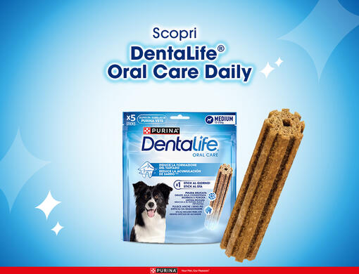 dentalife oral care daily