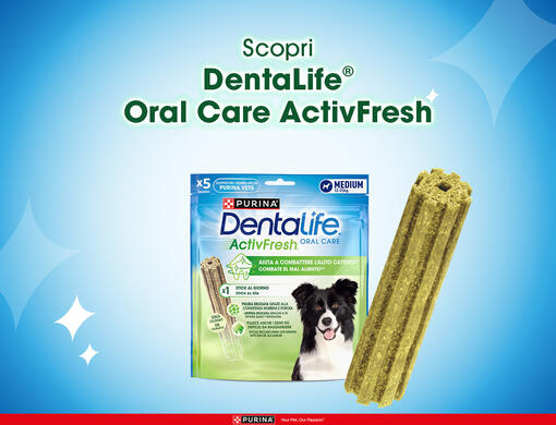 dentalife oral care activefresh