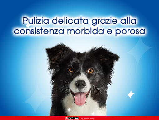 Campagna ActivFresh