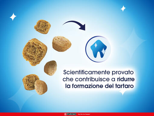 Dentalife gatto