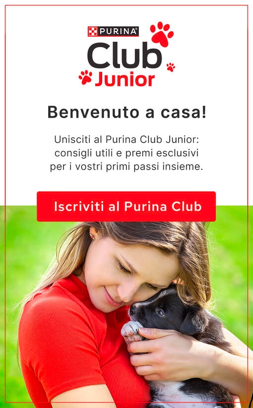 PURINA Club Junior