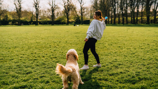Donna che gioca con il cane all'aperto