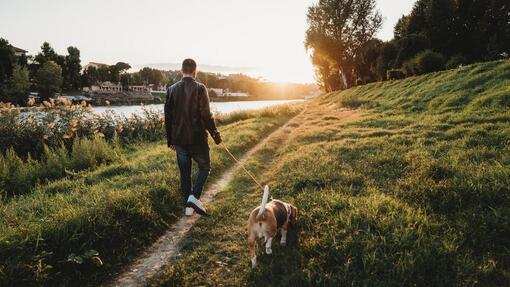 ragazzo e cane passeggiano
