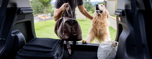 Uomo e cane si preparano per un viaggio in auto - Hero
