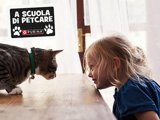 Purina in Society