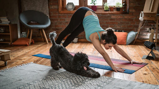 cane e ragazza fanno pilates