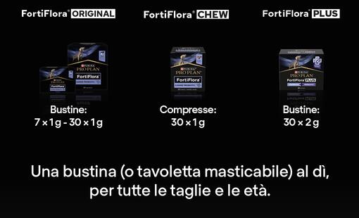 GRANDE NOVITA' PER CANI DI PICCOLA TAGLIA