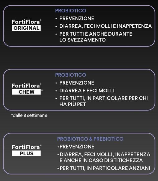 GRANDE NOVITA' PER CANI DI PICCOLA TAGLIA