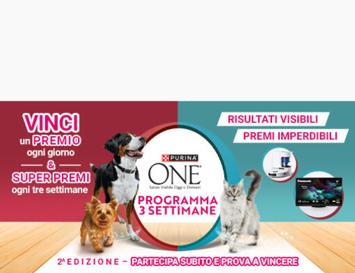Purina One challenge