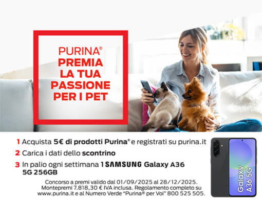 Promo corporate 2025