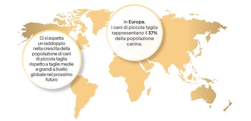 GRANDE NOVITA' PER CANI DI PICCOLA TAGLIA